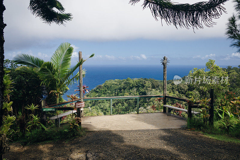 穿越夏威夷毛伊岛热带花园的小路