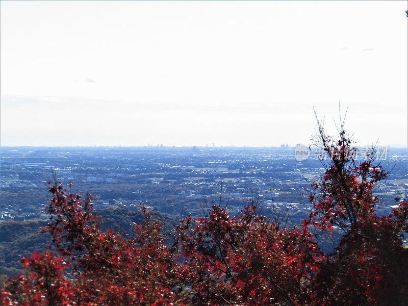 日本。筑波山全景。