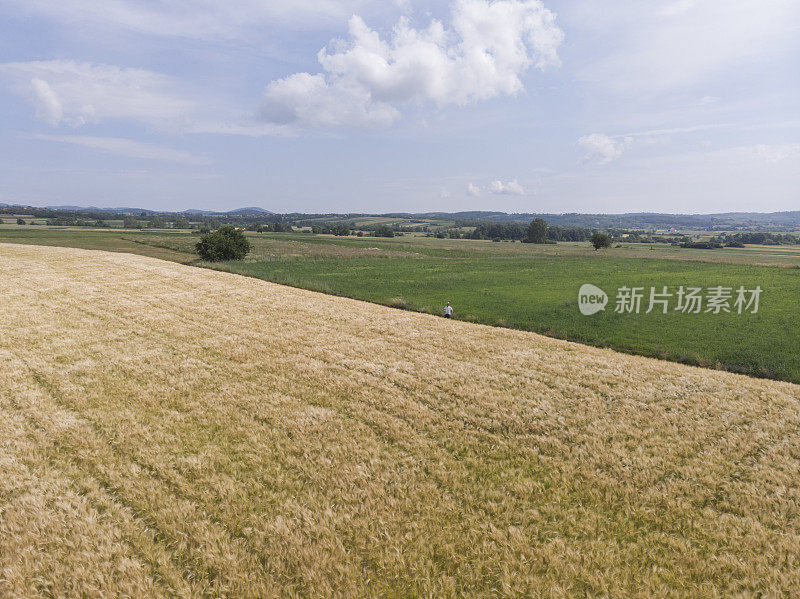 一个成年的农民在他黄色的农场里耕种春天的土地。鸟瞰图。