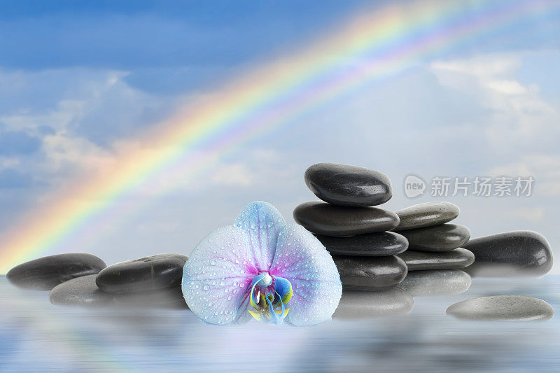 黑色的按摩石和兰花与彩虹和水的倒影