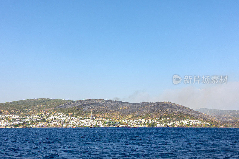 海岸森林大火之后