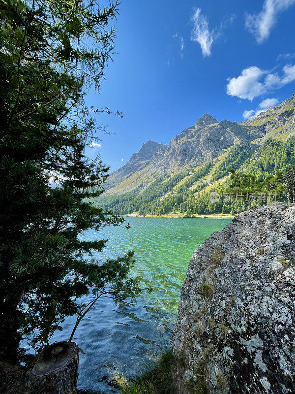 瑞士恩加丁的锡尔斯湖