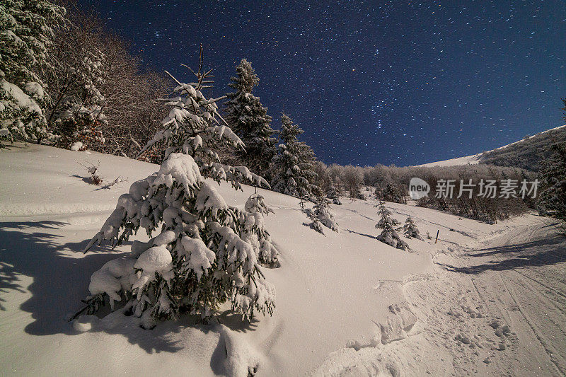 壮丽的星空笼罩着冬日的山景。夜景。月光下美丽的高大冷杉。喀尔巴阡山,乌克兰,欧洲。