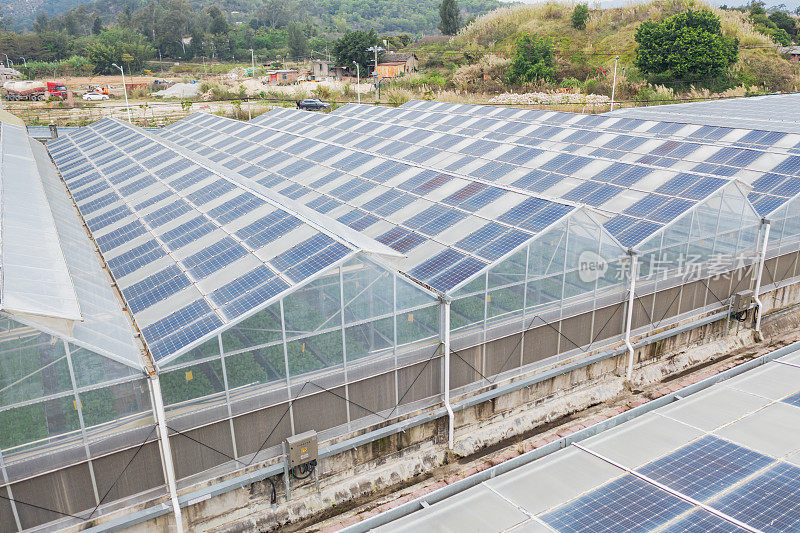 蔬菜温室屋顶上的太阳能电池板