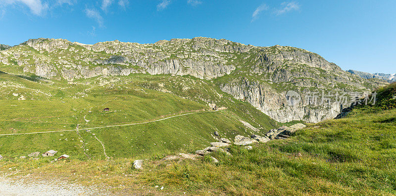 山景全景，Tälligrat附近的Aletsch冰川