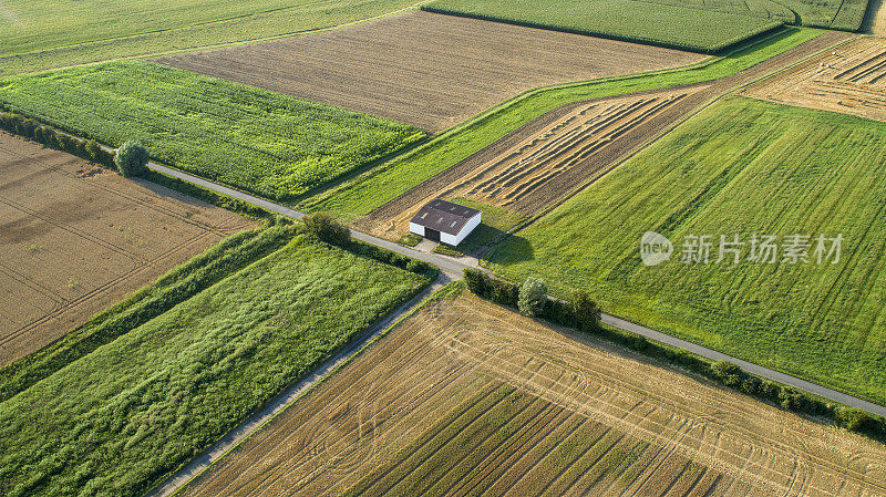 农业领域-收获的领域。鸟瞰图