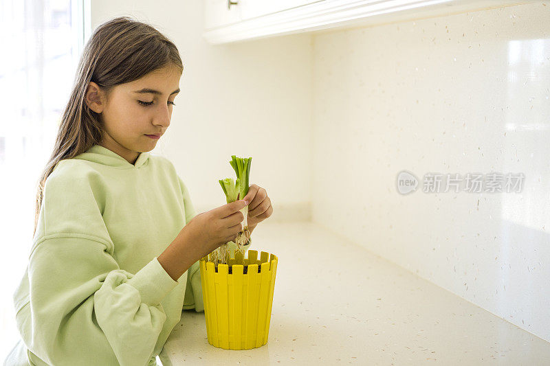 美丽的女孩又在土壤里发芽了