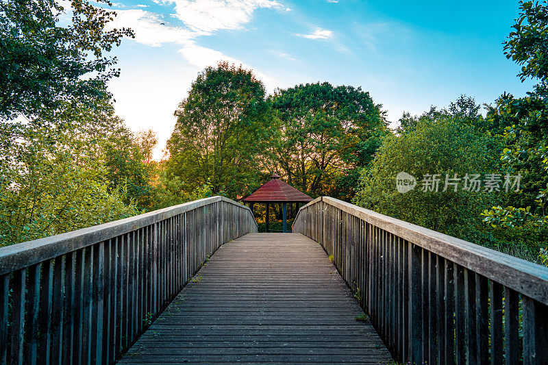 公园里的木桥