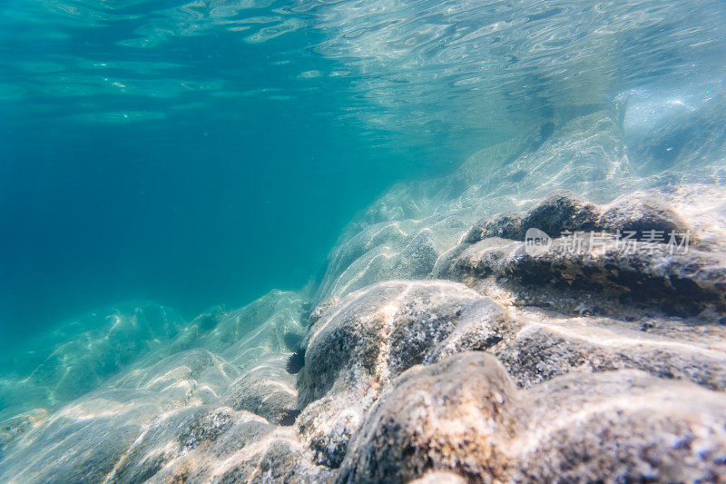 浅水海底