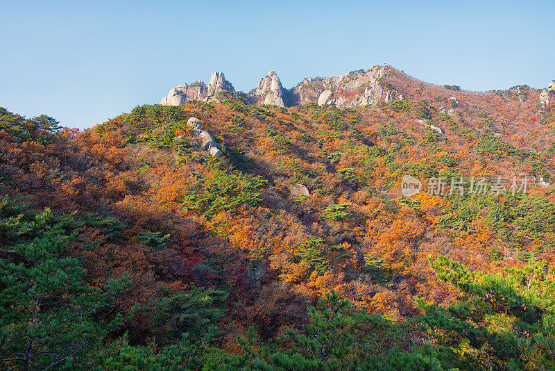 秋天的首尔道峰山