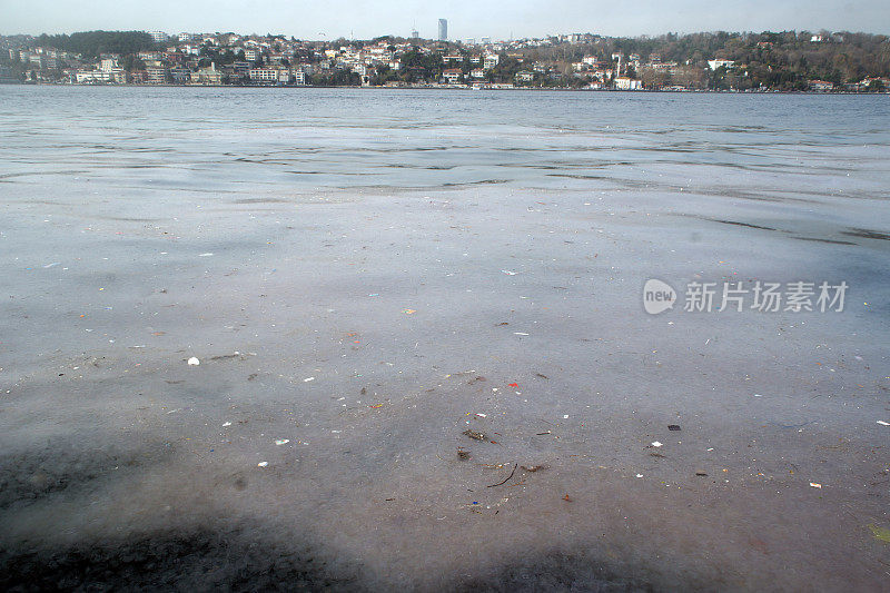 海洋污染和水母侵扰