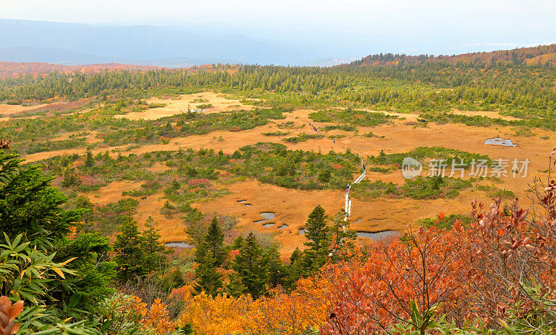 秋景，日本青森八谷田山(10月-2022年)