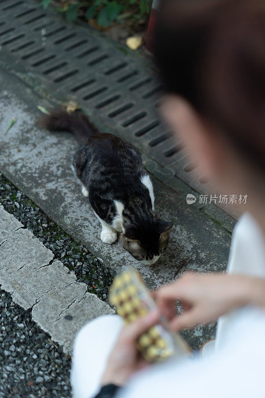 一位妇女正在户外喂流浪猫。