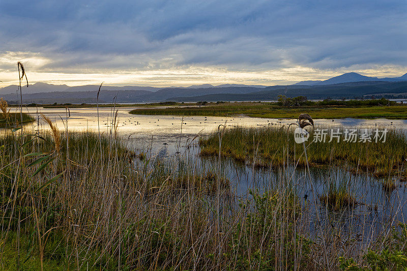南非，克尼斯纳附近，日落倒影在长满芦苇和水鸟的湖面上