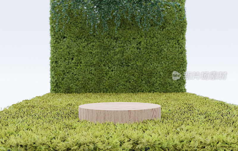 抽象的3d渲染平台自然背景，木质讲台上的蕨类田野背景叶墙和常春藤用于产品展示设计，广告，化妆品，模型或等
