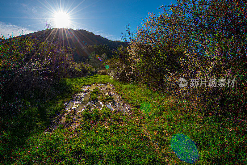 宁静的风景与山溪在老山或斯塔普拉尼纳，保加利亚