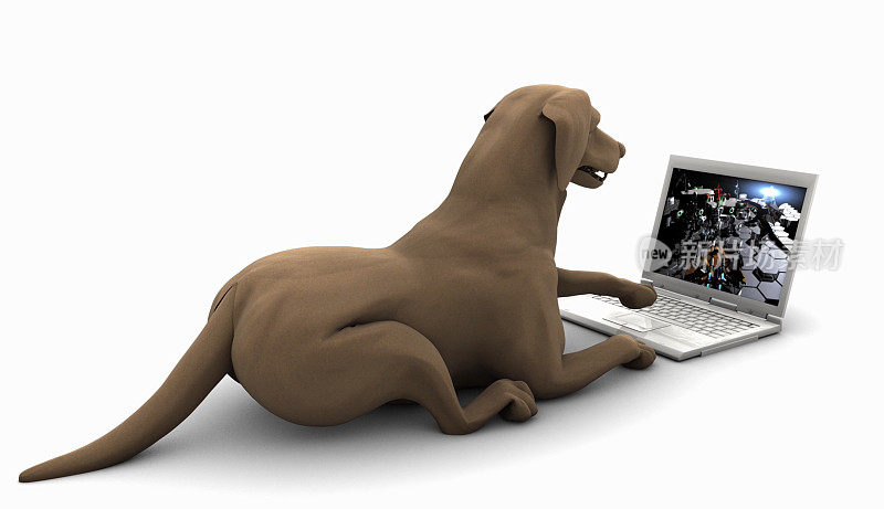 聪明的狗在笔记本电脑上玩游戏