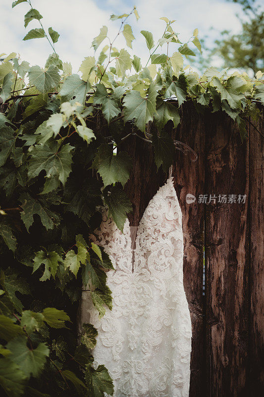 蕾丝婚纱挂在绿色的木栅栏上