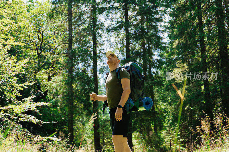 成年男子背着背包，拄着登山杖，在光天化日之下走在绿色的森林里