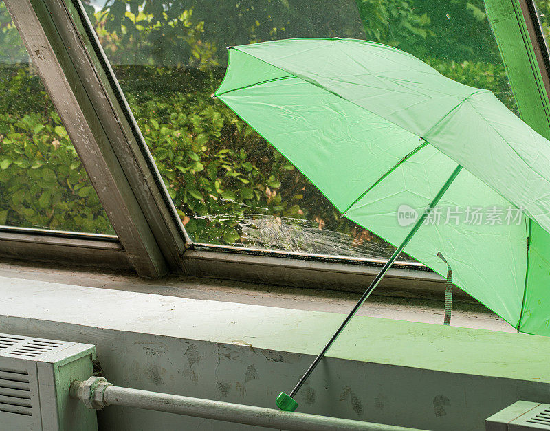 雨天的绿伞