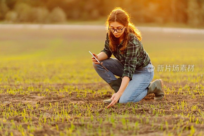 一名农妇用数码平板电脑检查手中的土壤质量。