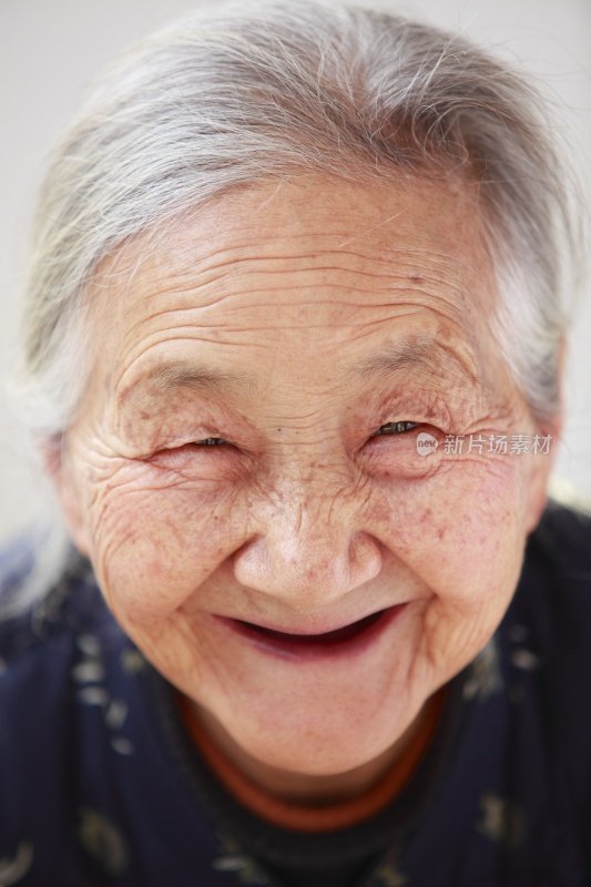 快乐祖母的画像
