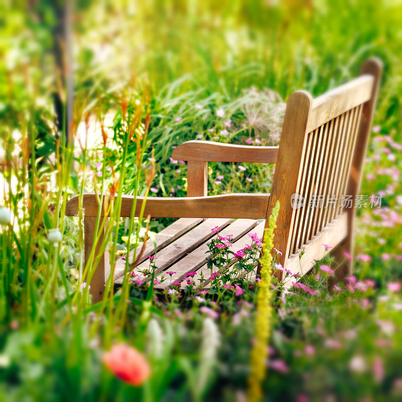 野花花园里的木凳。广场组成。
