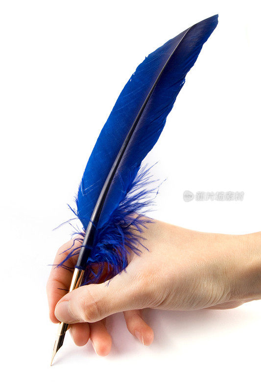 蓝色的羽毛笔