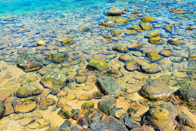 有岩石和珊瑚的海床