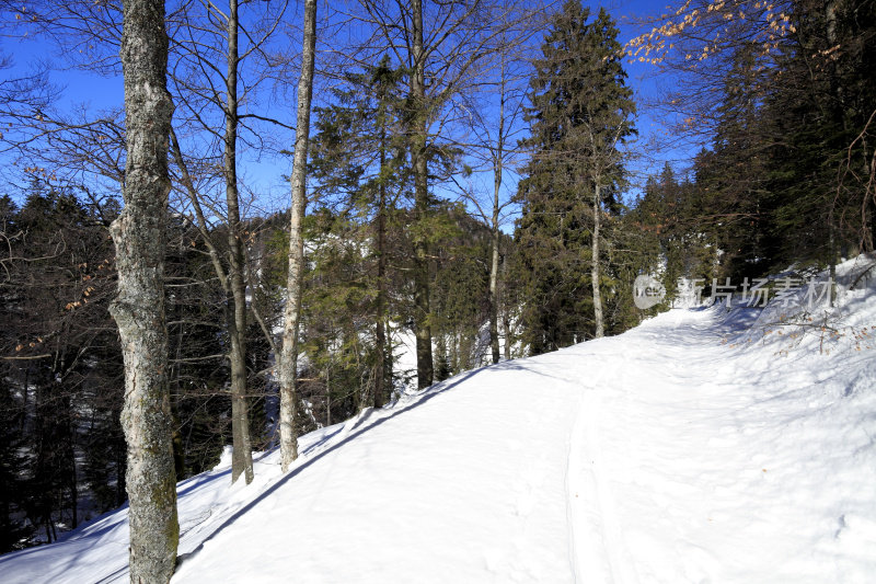 越野滑雪赛道