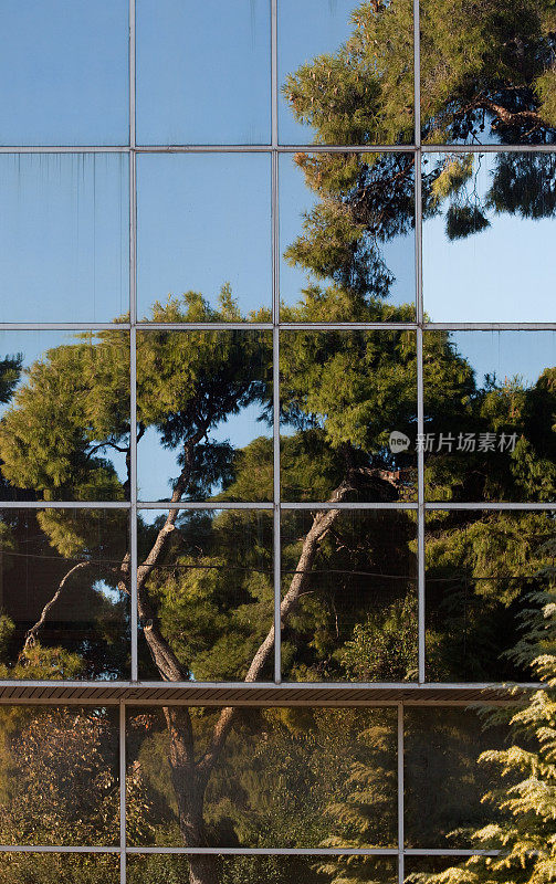 树木反射在玻璃立面上