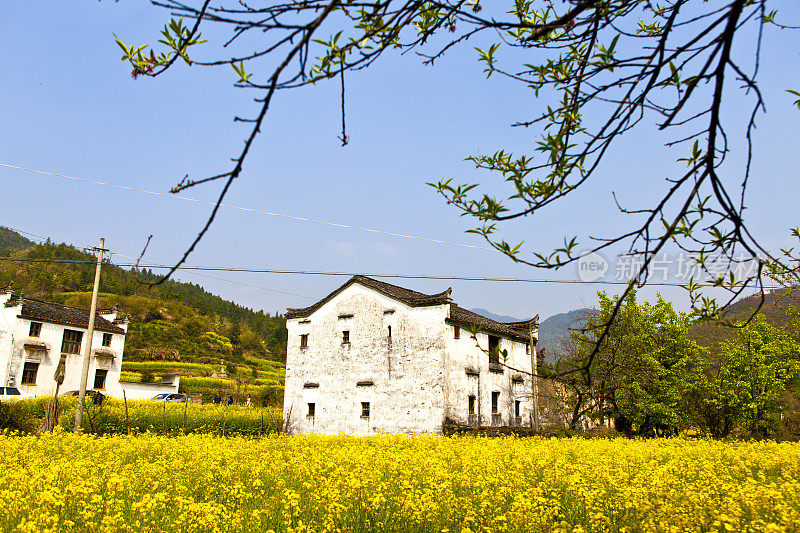 中国江西省婺源市的农村房屋。