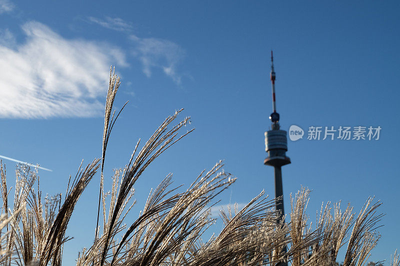 多瑙河塔,维也纳