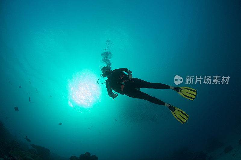 女潜水员-帕劳，密克罗尼西亚