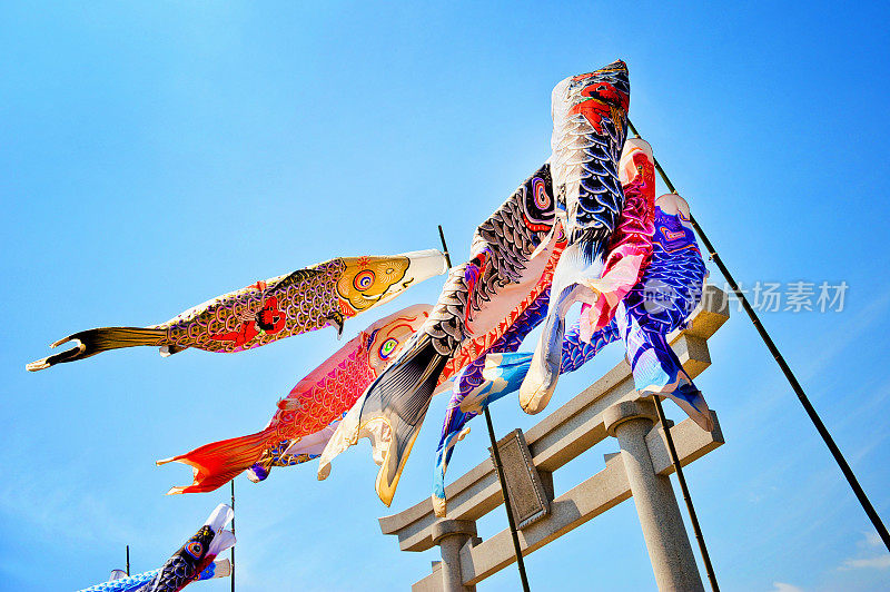 Koinobori(锦鲤形日本风筝)