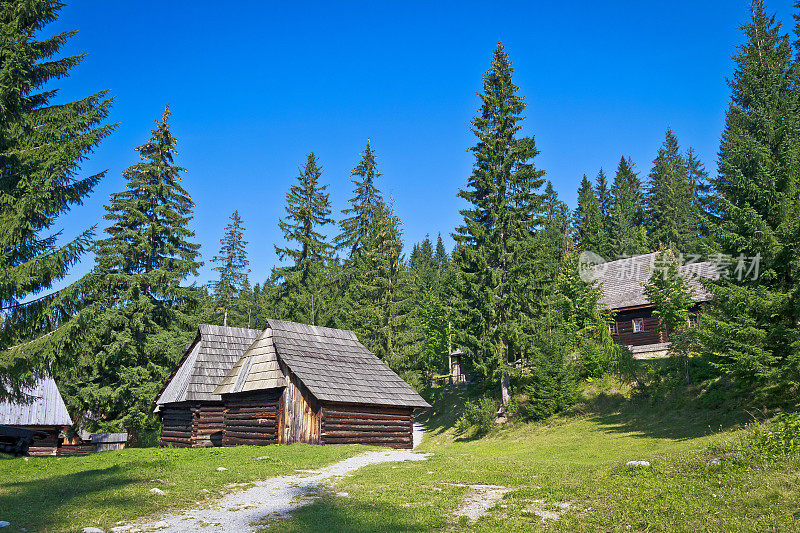 波兰树林中的山村