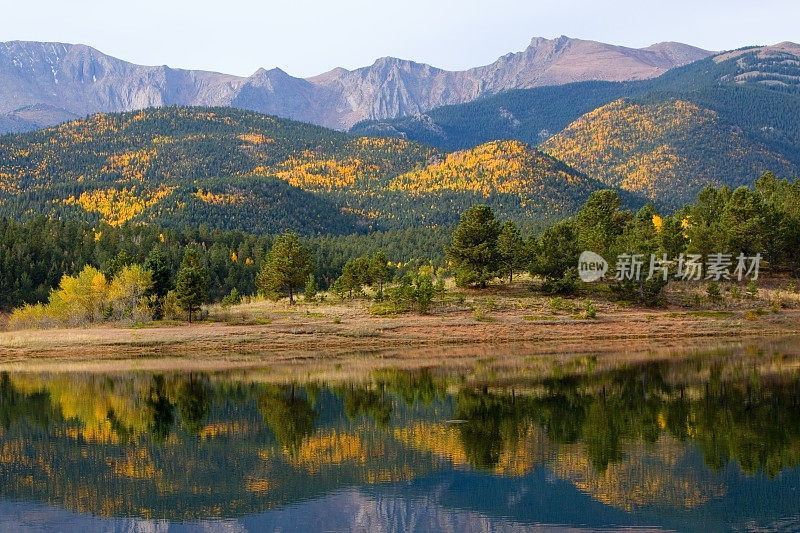 秋天的白杨在水晶溪水库派克峰