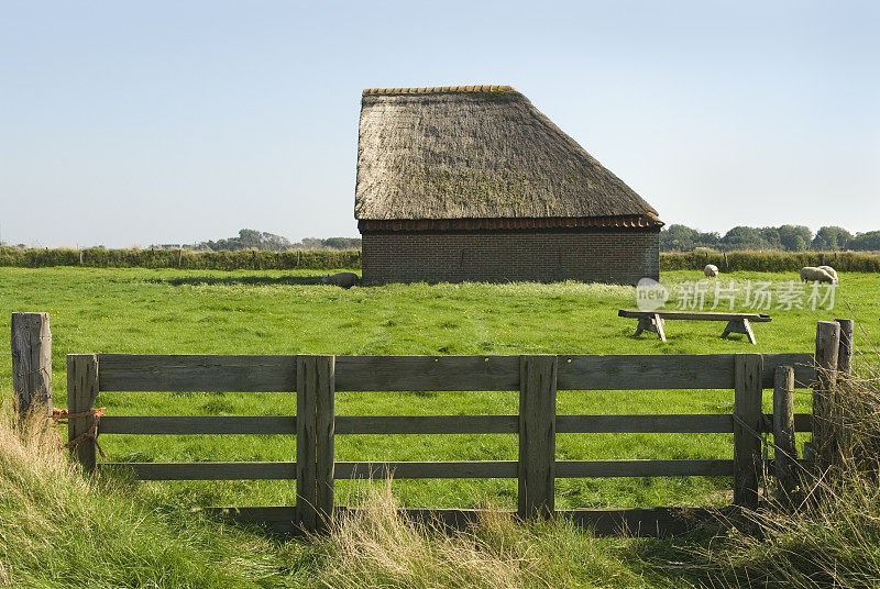 典型的羊棚(Texel)