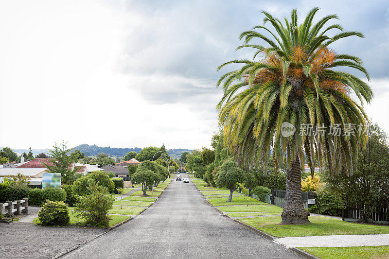 新西兰罗托鲁瓦的城市街道