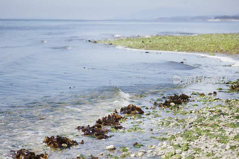 海滩系列