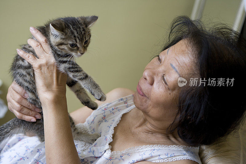 老女人和小猫