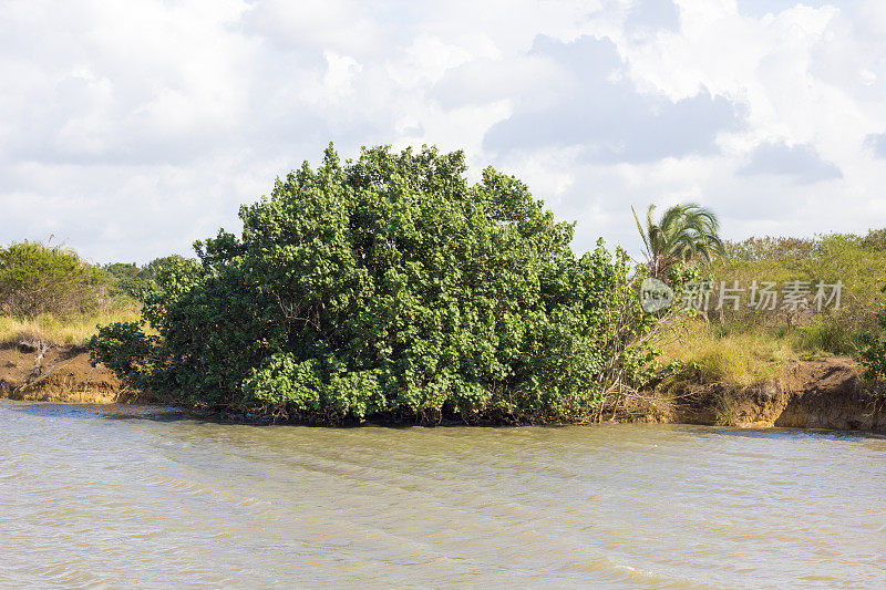 南非夸祖鲁-纳塔尔省的iSimangaliso湿地公园