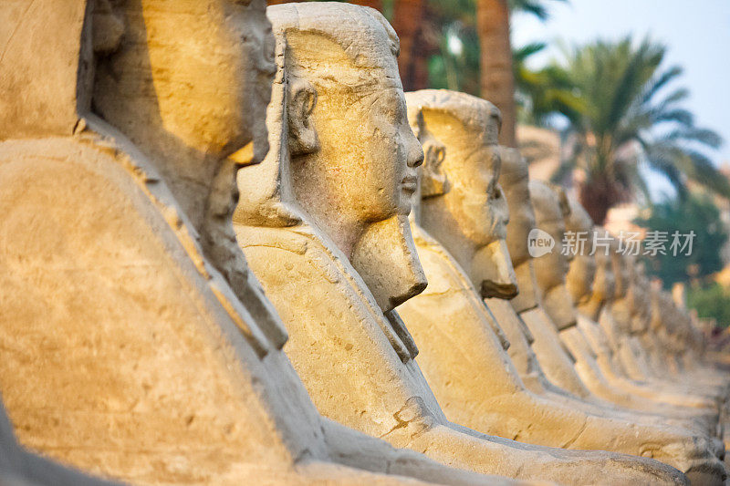 埃及卢克索神庙的狮身人面像