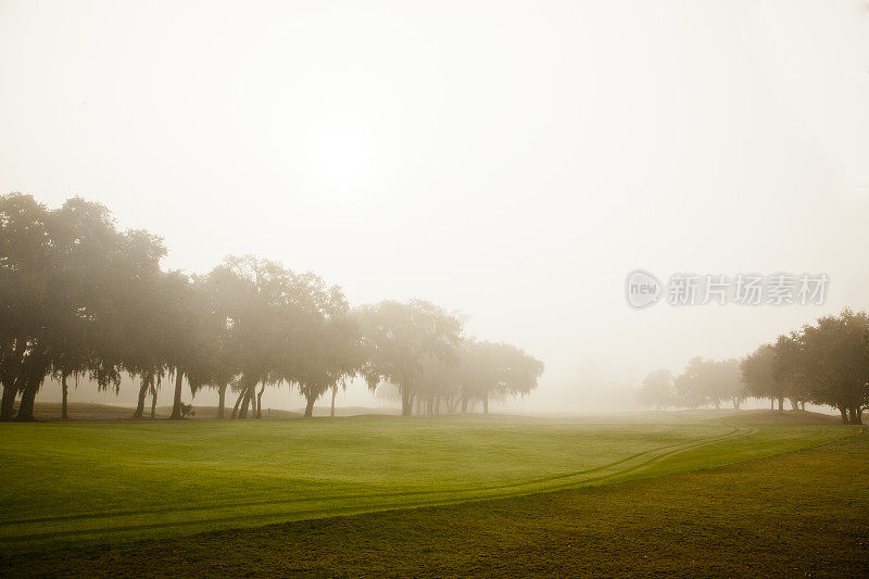 有雾的高尔夫球场
