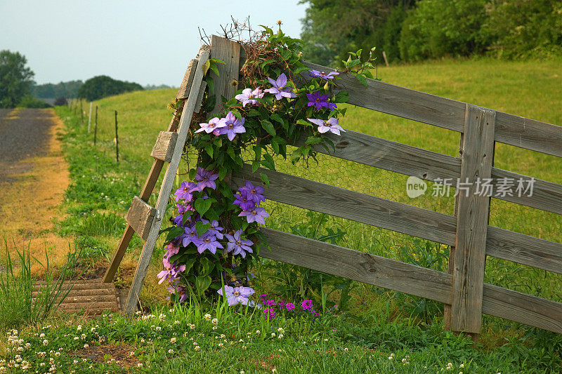 农场围栏和鲜花