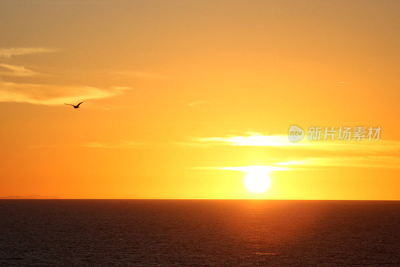 日出的海洋