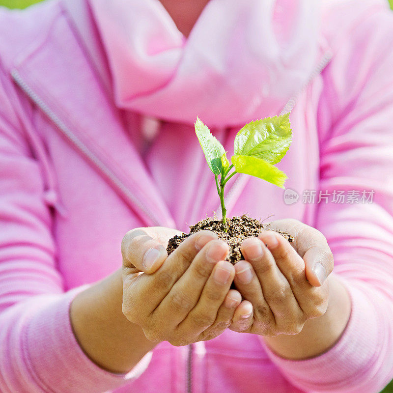 女人手里拿着一株小植物