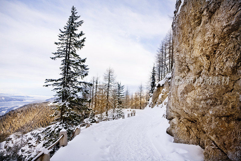 高山上的小路