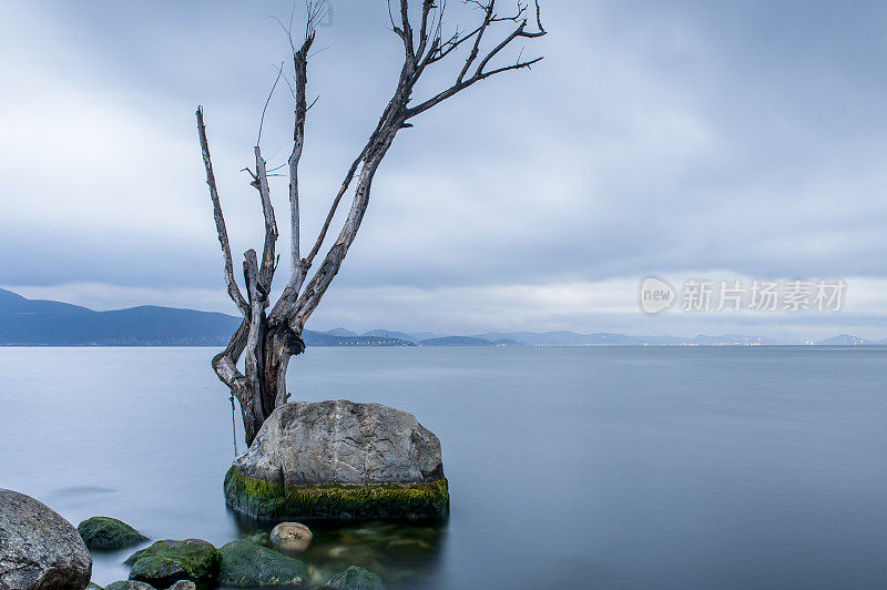 阴天木头浸在水里