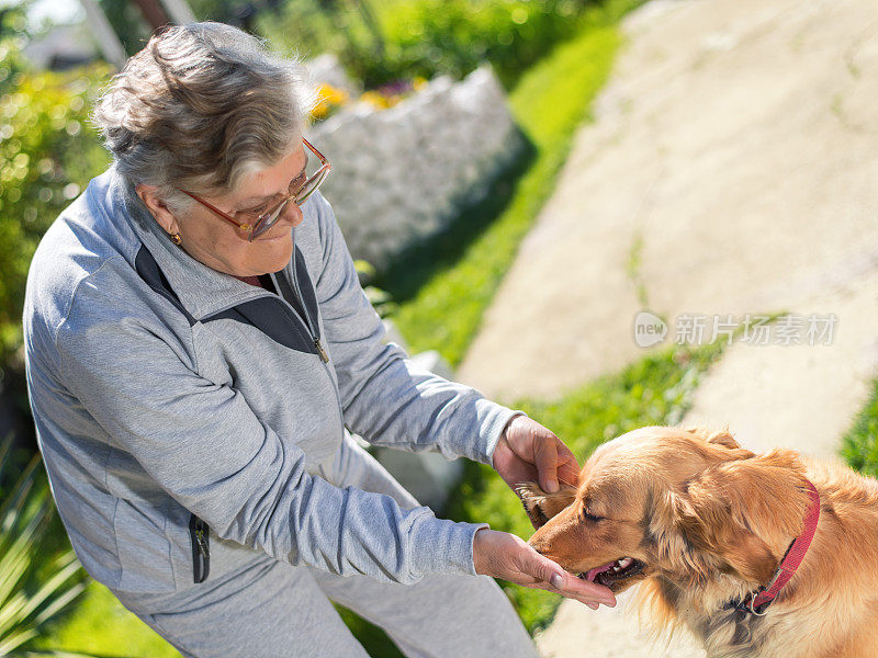 老妇人和她的狗